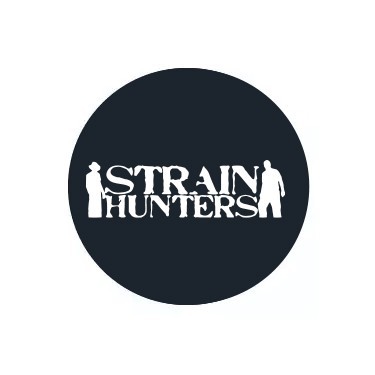 Semi femminizzati Strain Hunters Seed Bank